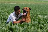 ENFANT ET CHIEN 379